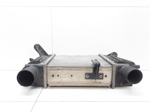 INTERCOOLER Renault CLIO III 