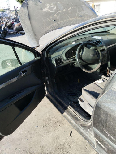 GOMAS CONTORNO PUERTA Peugeot 407 