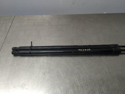 AMORTIGUADORES MALETERO / PORTON, FORD, KUGA (CBS)