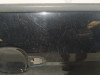  PUERTA DELANTERA DERECHA FORD FOCUS BERLINA (CEW) 