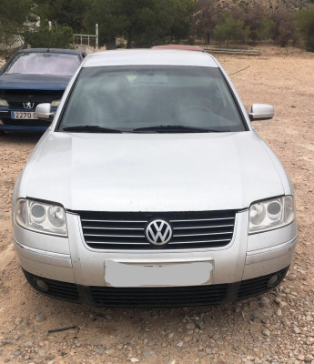 VOLKSWAGEN PASSAT BERLINA (3B3)