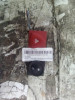 WARNING Renault MEGANE II BERLINA 5P 