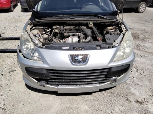  PEUGEOT 307 BREAK/ SW (S2) 