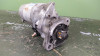 MOTOR ARRANQUE Land Rover FREELANDER (LN) 