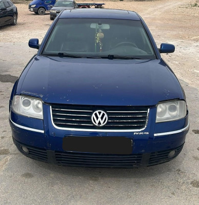 VOLKSWAGEN PASSAT BERLINA (3B3)