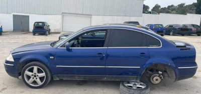 VOLKSWAGEN PASSAT BERLINA (3B3)