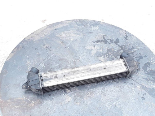 INTERCOOLER Fiat I DOBLÒ (119) 