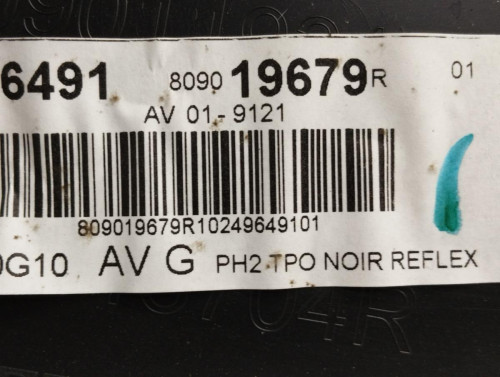 GUARNECIDO PUERTA DELANTERA DERECHA Renault CLIO IV 