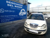  LANCIA YPSILON (101) 