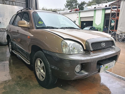 HYUNDAI SANTA FE (SM)