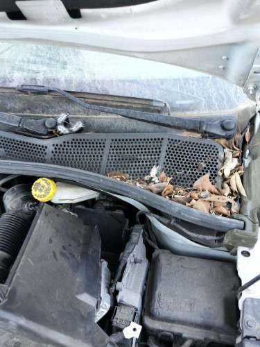 MOTOR LIMPIA DELANTERO CITROEN C4 CACTUS 