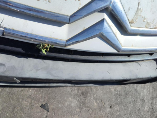 REFUERZO PARAGOLPES DELANTERO Citroen JUMPY 