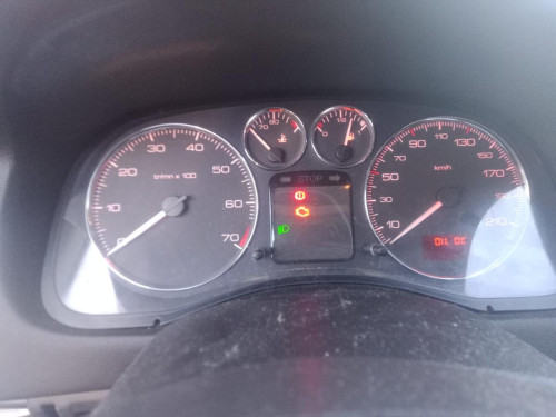  PEUGEOT 307 BERLINA (S2) 