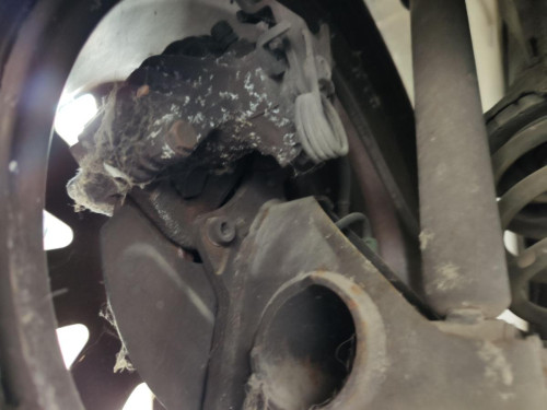 PINZA DE FRENO TRASERA IZQUIERDA Audi A6 BERLINA (4B2) 