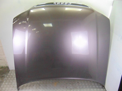 CAPO, AUDI, A8 (D2)