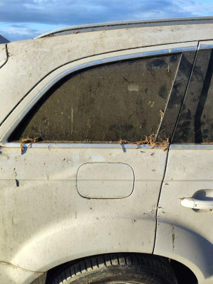 LUNA CUSTODIA TRASERA DERECHA