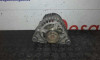  ALTERNADOR, , 
