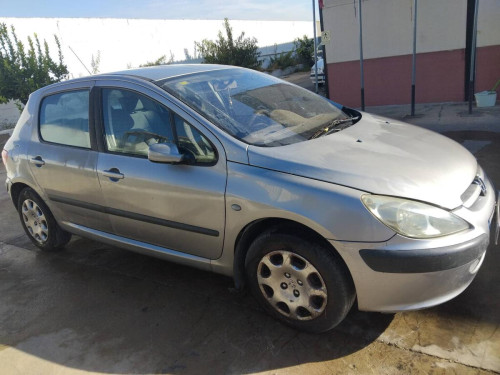  Peugeot 307 (S1)(04.2001->06.2005) SIN IDENTIFICAR 