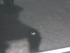  PUERTA DELANTERA DERECHA VOLKSWAGEN PASSAT BERLINA (3B3) 