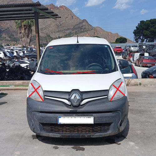 CAPO RENAULT KANGOO II (F/KW0) 