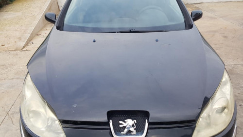 CAPO Peugeot 407 (2004->) Peugeot 407 (2004->) 