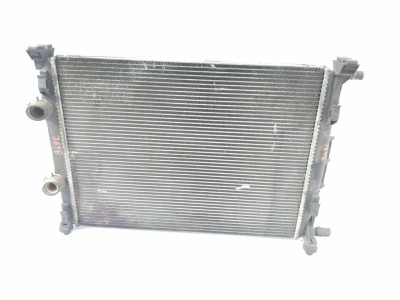RADIADOR AGUA, RENAULT, SCENIC II (JM)