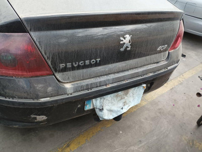 PEUGEOT 407