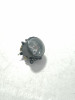  FARO ANTINIEBLA IZQUIERDO CITROEN XSARA PICASSO 