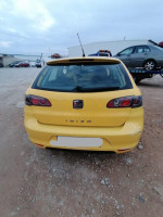 SEAT IBIZA (6L1)