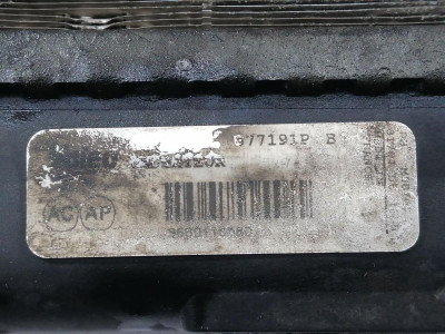 RADIADOR AGUA, PEUGEOT, 207
