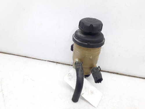 DEPOSITO SERVO HYUNDAI SANTA FE (CM) 