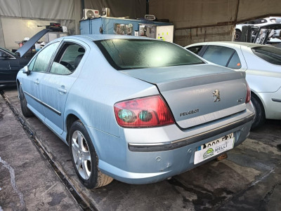 PEUGEOT 407