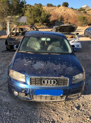 AUDI A3 (8P1)