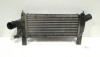  INTERCOOLER NISSAN PATHFINDER (R51) 