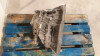 CAJA CAMBIOS Land Rover FREELANDER (LN) 