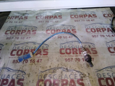 SONDA LAMBDA, Ford, FOCUS BERLINA (CAK)