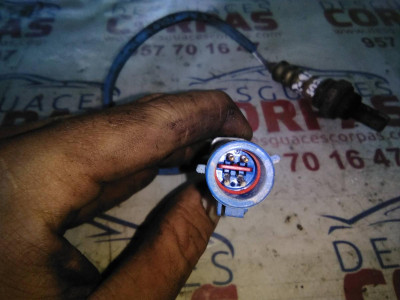 SONDA LAMBDA, Ford, FOCUS BERLINA (CAK)