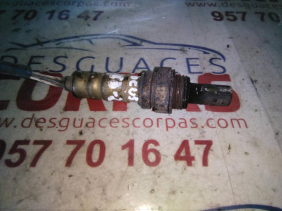 SONDA LAMBDA, Ford, FOCUS BERLINA (CAK)
