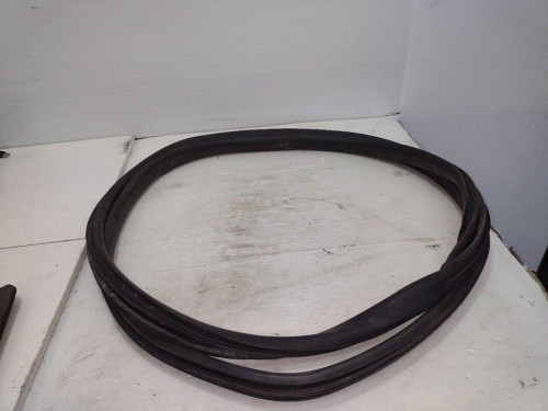  NO IDENTIFICADO RENAULT SCENIC III (JZ) 