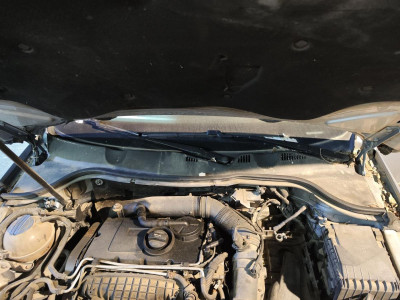 TORPEDO