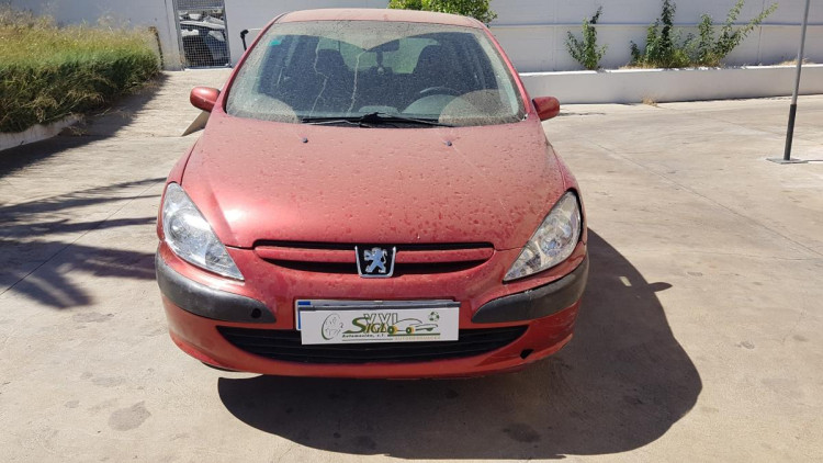 Peugeot 307 (S1)(04.2001->06.2005) SIN IDENTIFICAR