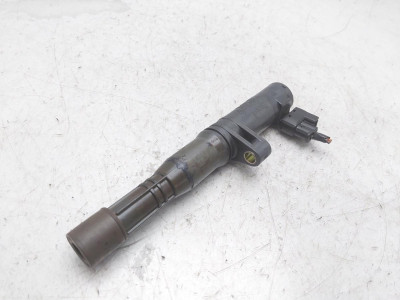 BOBINA ENCENDIDO, RENAULT, MEGANE I FASE 2 COUPE (DA...)