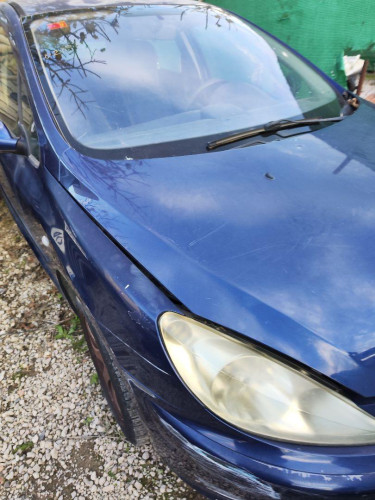 CAPO Peugeot 307 (S1)(04.2001) 