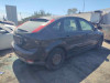  FORD FOCUS BERLINA (CAP) 