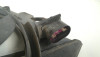  ELECTROVENTILADOR Volkswagen GOLF V (1K1)(10.2003) 