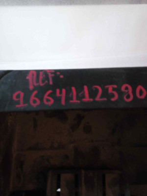 PANEL FRONTAL, CITROEN, C6