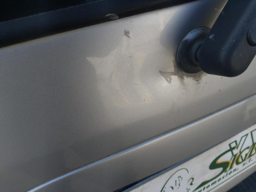 PORTON TRASERO Opel Zafira A (1999->) OPEL Zafira A (1999->) 