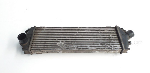  INTERCOOLER Nissan PRIMASTAR (X83) 