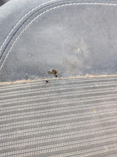 ASIENTO DELANTERO IZQUIERDO used