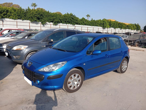  PEUGEOT 307 BERLINA (S2) 